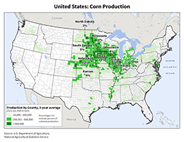 images\US\cropprod\USA_Corn_preview.png